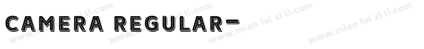camera regular字体转换
